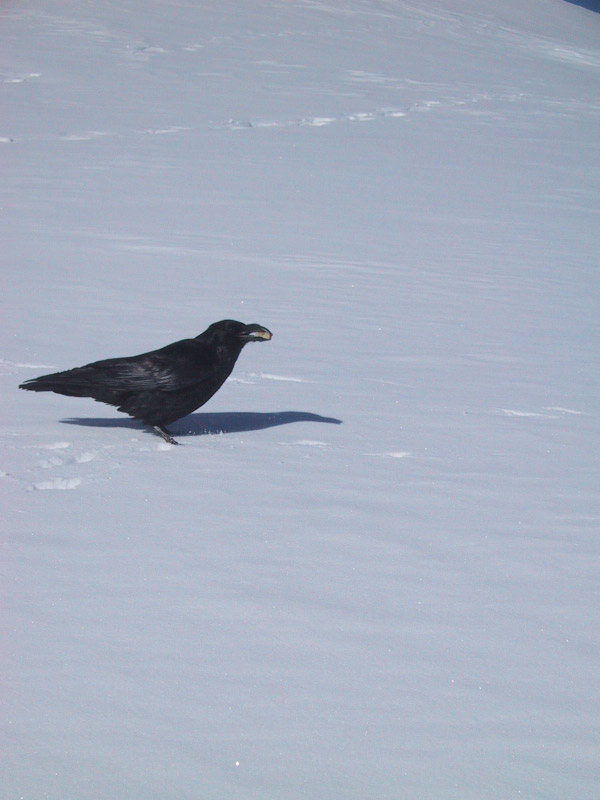 20030218_Ofenpass_07